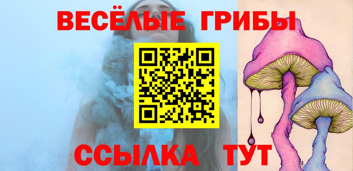 Галлюциногенные грибы мицелий Будённовск